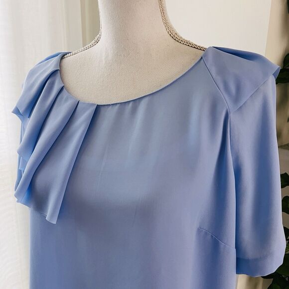 Banana Republic Blue Ruffle Sleeve Chiffon Soft Flowy Blouse - Size Large - Picture 5 of 8